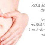 frase2