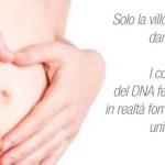 frase21